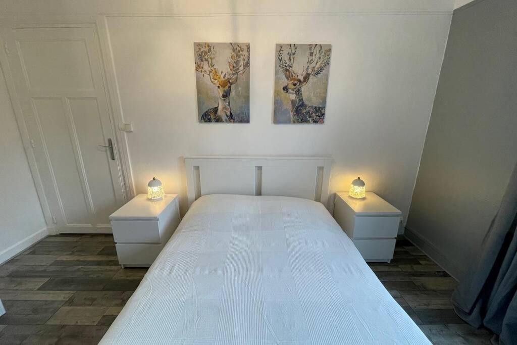 Appartement Moderne Boulogne Sur Mer Proche De La Plage Et Nausicaa Kültér fotó